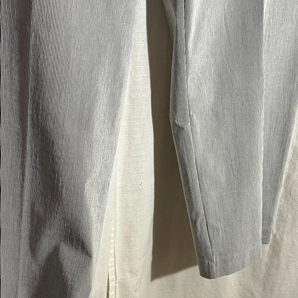 Premise Gray White Stripe Capri Tummy Control Trousers - Picture 6 of 10
